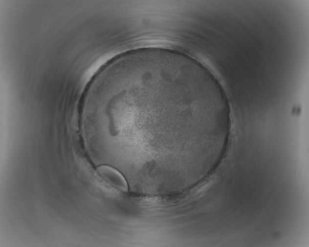 X0000112970883200909031043