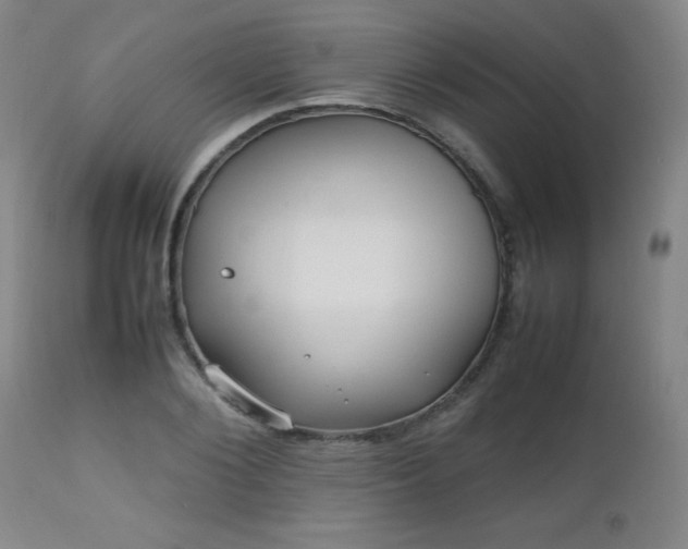 X0000112970884200909031043