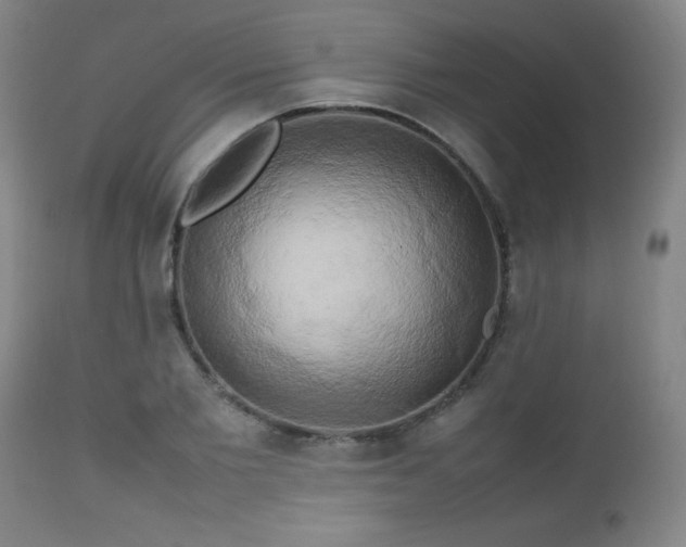 X0000112970885200909031043