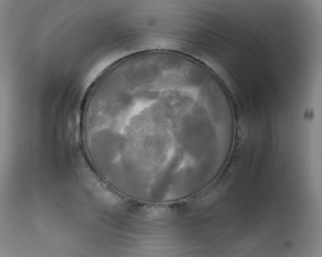 X0000112970886200909031043