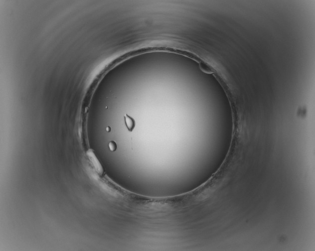 X0000112970888200909031043