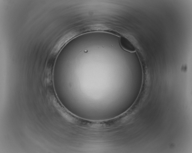 X0000112970889200909031043