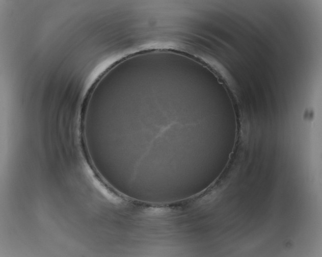 X0000112970894200909031043