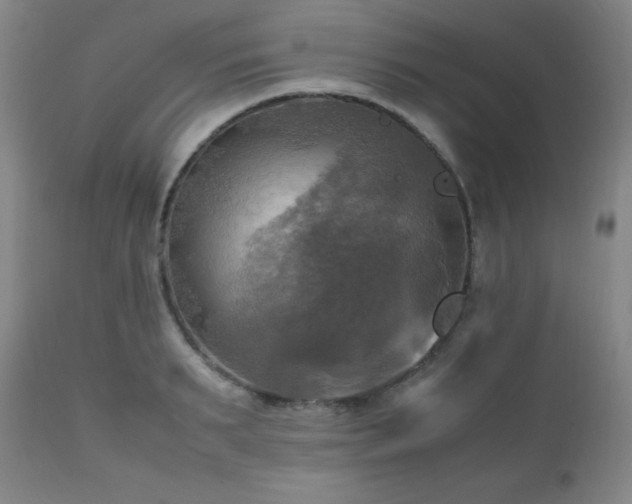 X0000112970895200909031043