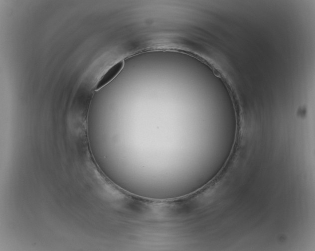 X0000112970897200909031043