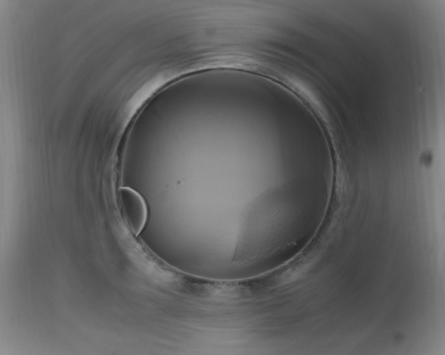 X0000112970899200909031043