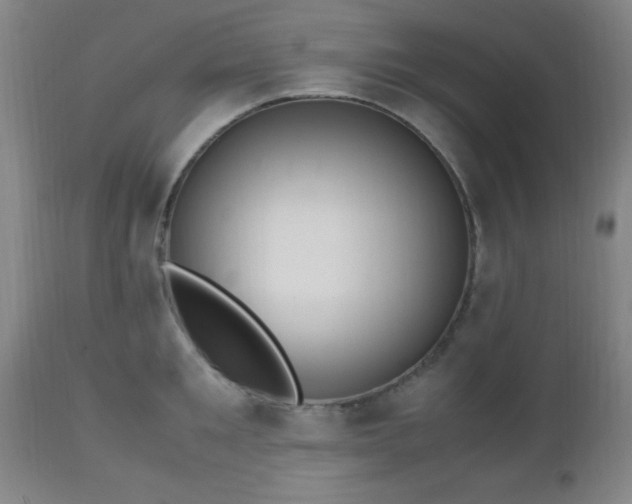 X0000112970901200909031043