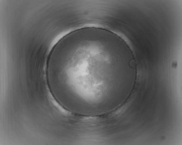 X0000112970902200909031043