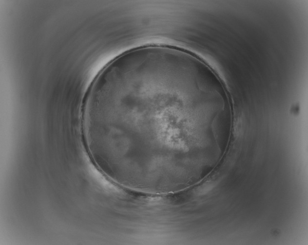 X0000112970903200909031043