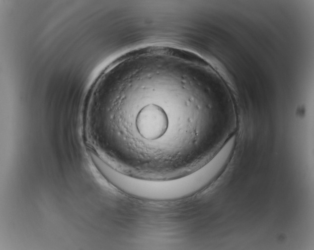 X0000112970904200909031043