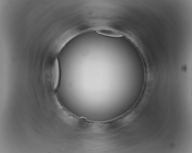 X0000112970905200909031043