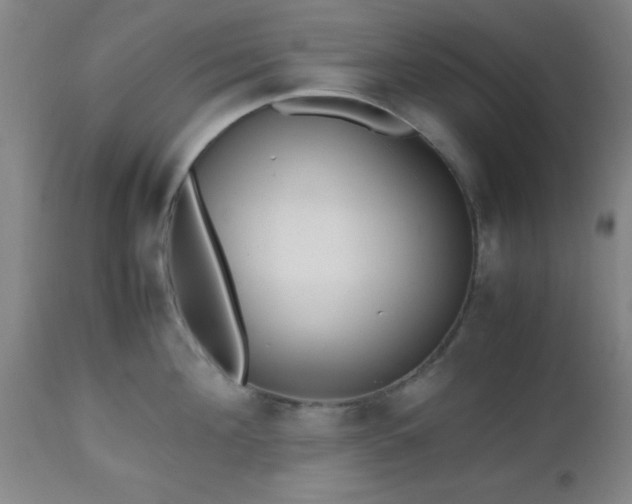 X0000112970908200909031043