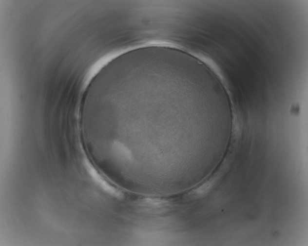 X0000112970910200909031043