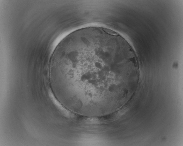 X0000112970911200909031043