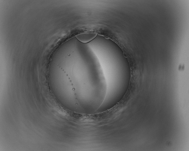 X0000112970913200909031042