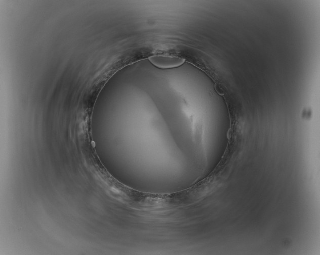 X0000112970914200909031042