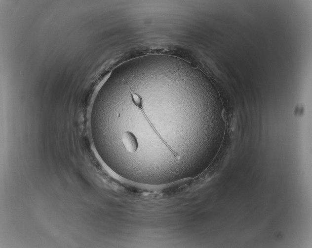 X0000112970916200909031042