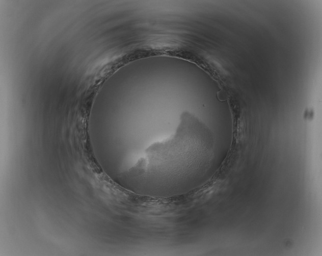 X0000112970917200909031042