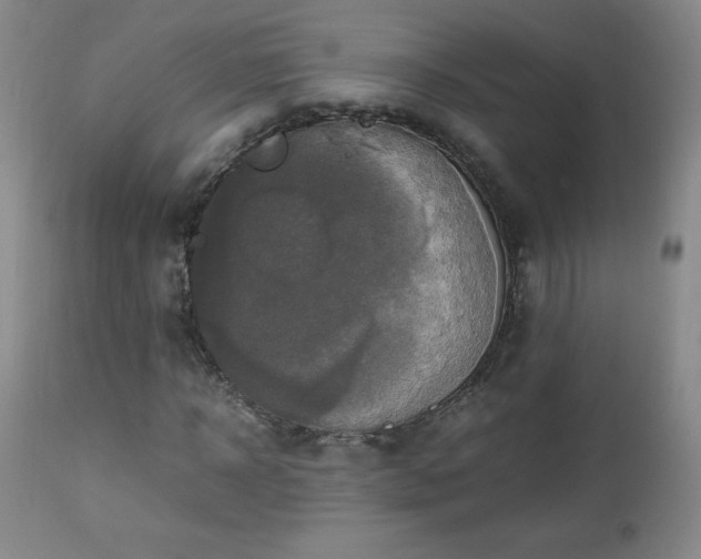 X0000112970918200909031042