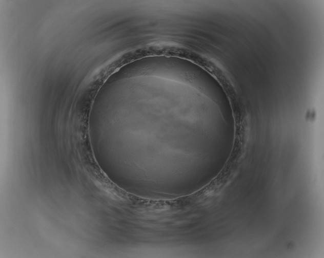 X0000112970919200909031042