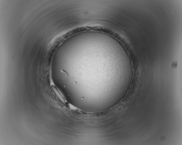 X0000112970920200909031042