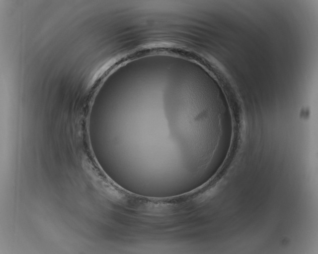 X0000112970921200909031042