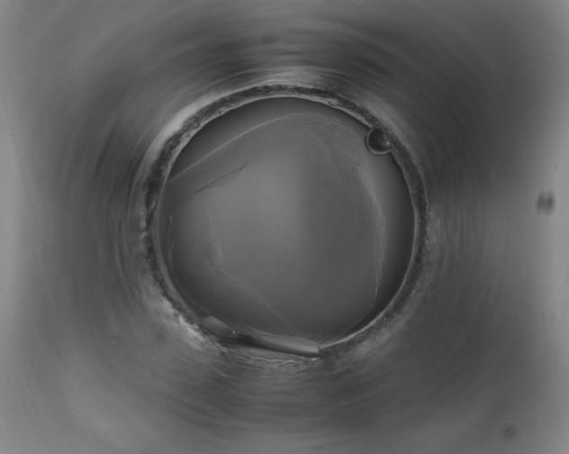 X0000112970923200909031042