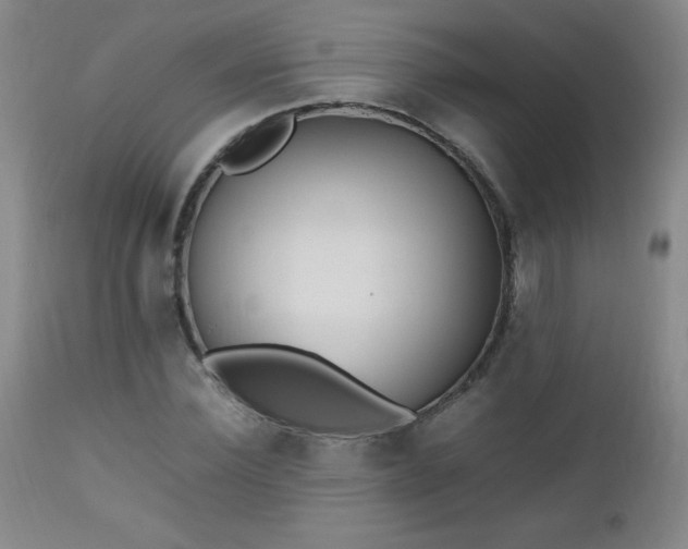 X0000112970924200909031042