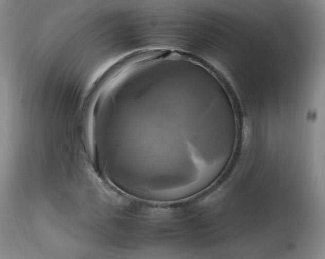 X0000112970925200909031042