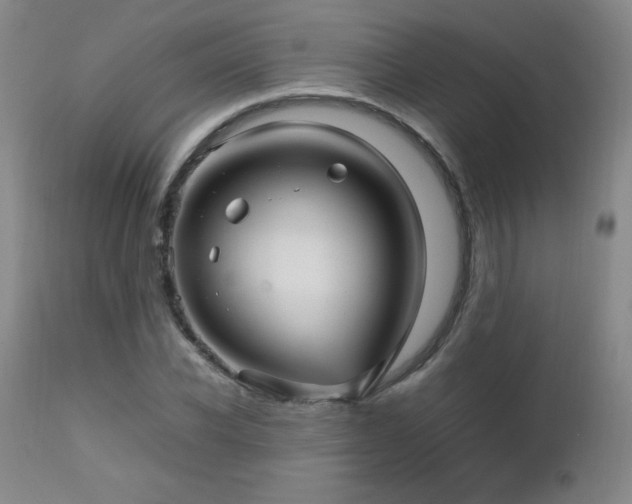 X0000112970926200909031042