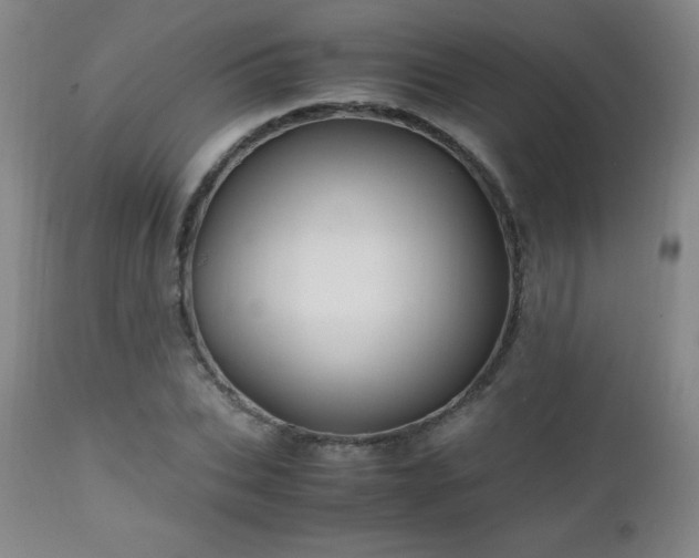 X0000112970927200909031042