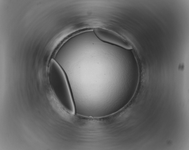 X0000112970932200909031042