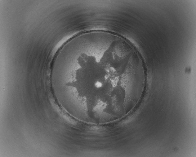 X0000112970933200909031042