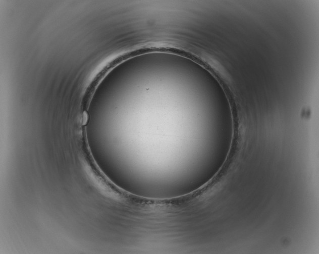 X0000112970934200909031042