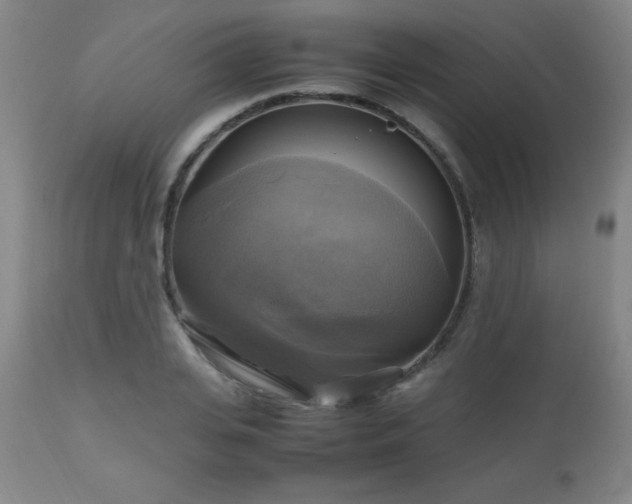 X0000112970935200909031042