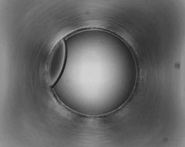 X0000112970936200909031042