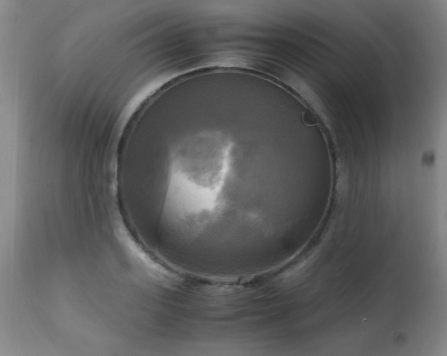 X0000112970939200909031042