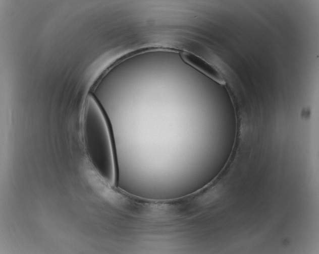 X0000112970940200909031042