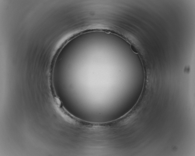 X0000112970942200909031042