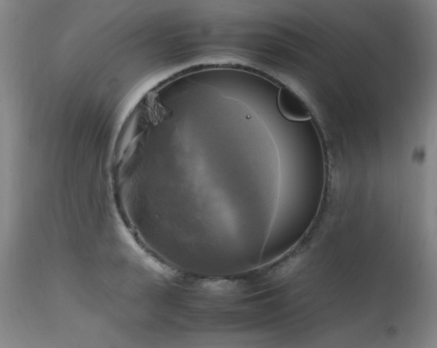 X0000112970943200909031042