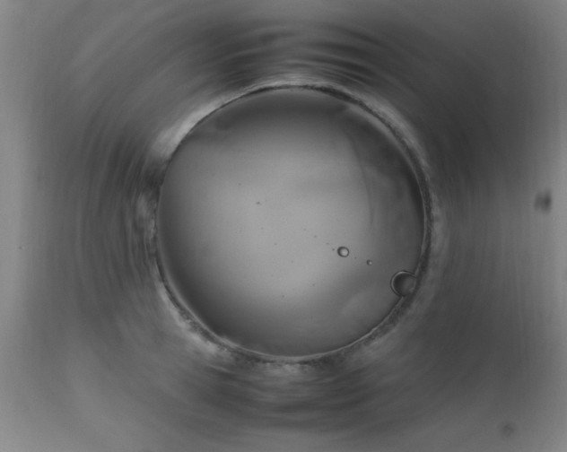 X0000112970945200909031042