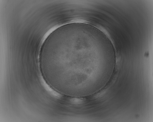 X0000112970947200909031042