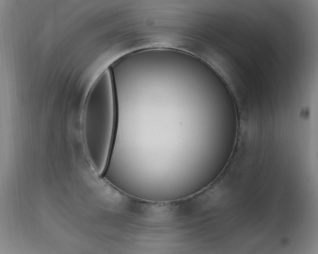 X0000112970948200909031042