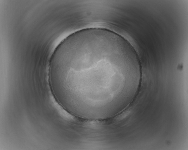 X0000112970950200909031042