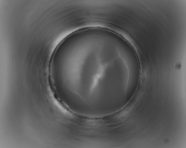 X0000112970951200909031042