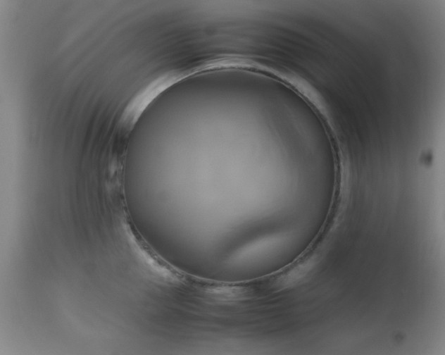 X0000112970953200909031042