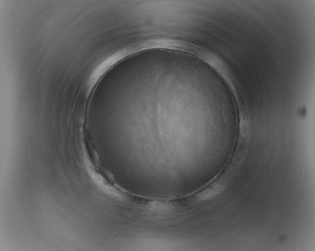 X0000112970954200909031042