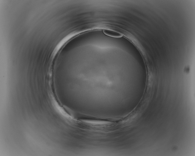 X0000112970955200909031042