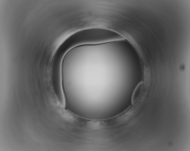 X0000112970956200909031043