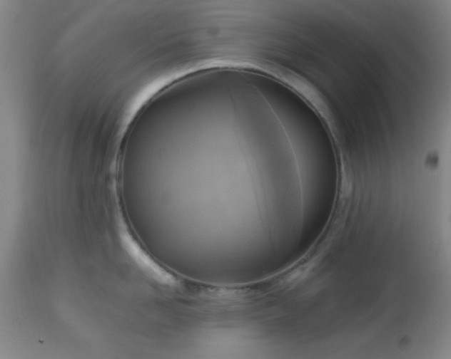 X0000112970958200909031043